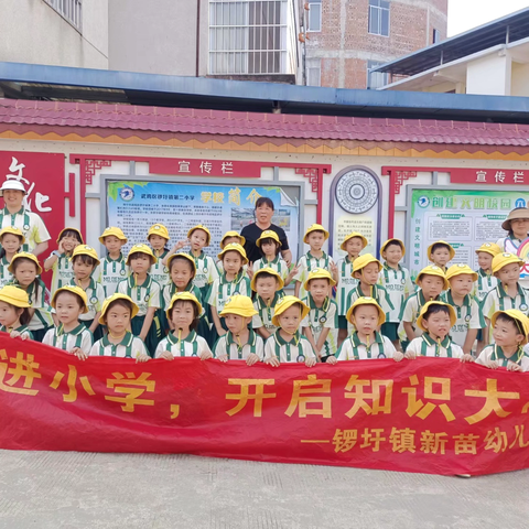 幼小衔接 锣圩镇新苗幼儿园参观小﻿学活动