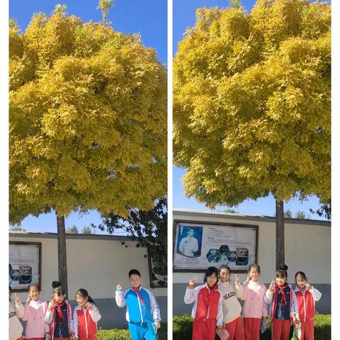 🌿 校园“植”趣，童心“物”语 —— 莱州市平里店镇中心小学草木小拾光社团活动纪实