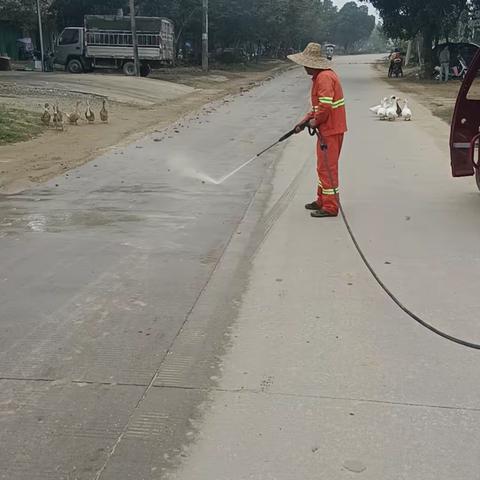 屯昌县交通运输局 环境空气质量改善200天决战攻坚行动 开展辖区农村公路环境美化工作