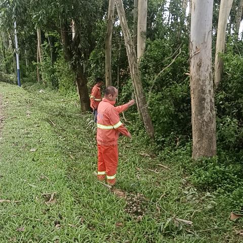 【屯昌县交通运输局】大气污染防治工作简报（2024年8月12日）