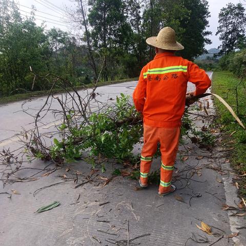 【屯昌县交通运输局】大气污染防治工作简报（2024年8月19日）