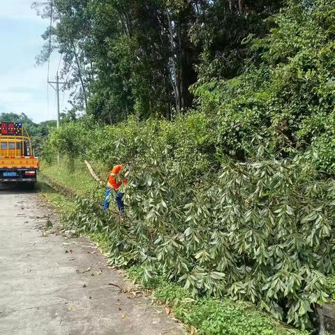 【屯昌县交通运输局】大气污染防治工作简报（2024年8月26日）