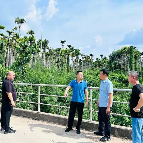 屯昌县交通运输局关于防范台风“摩羯”﻿工作简报