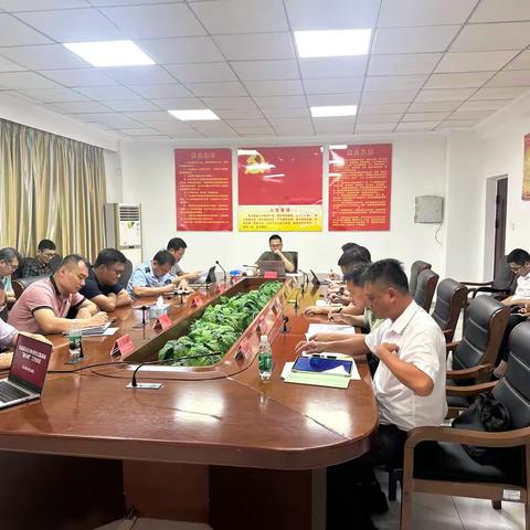 屯昌县2025年农村公路县级“路长制”工作会议