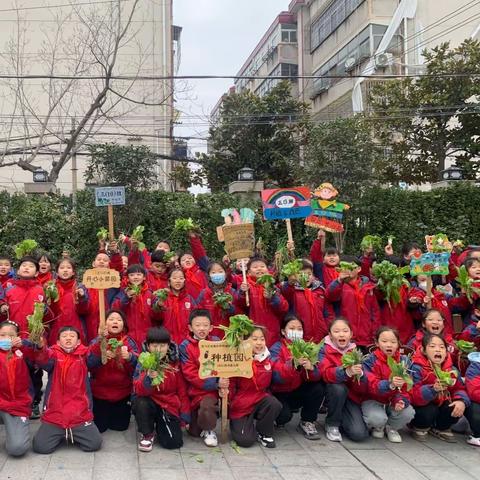 “不负耕耘，劳有所获”——驻马店实验小学校本部三年级劳动实践收获节