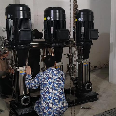 枫桦苇岸/12月份服务月刊