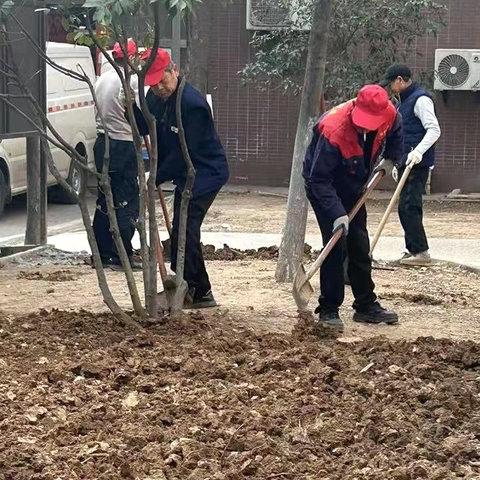 枫桦苇岸/2月份服务月刊