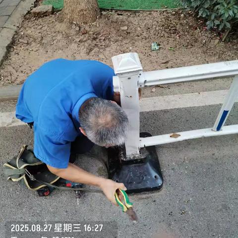 枫桦苇岸/8月份服务月刊