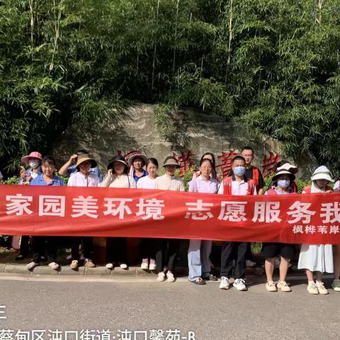 枫桦苇岸/9月份服务月刊