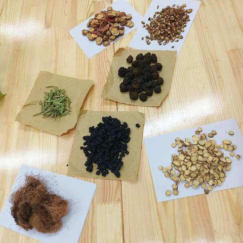 探秘国粹瑰宝，争当健康小卫士——洋安小学凌霄花中队中药文化体验活动