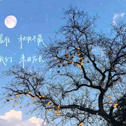 三门峡新时代精英学校四（1）班第十三周周报