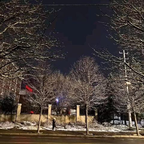 三门峡新时代精英学校四（1）班第十五周周报