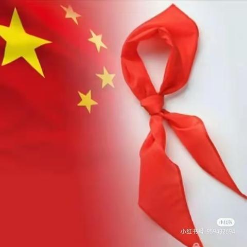 初夏里的那抹红 ——2024年临沭县少先队骨干辅导员培训纪实（三）