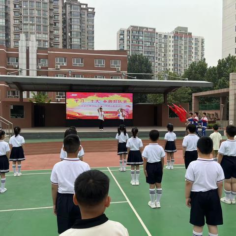 学习二十大 争做好队员