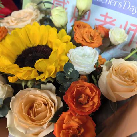 秋菊溢彩暖师心 桃李芬芳颂恩情  ——致远实验学校隆重举行第41个教师节庆祝活动