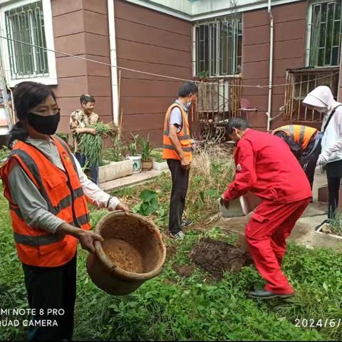 《还小区整洁之美～泾渭苑项目绿地清理在行动》