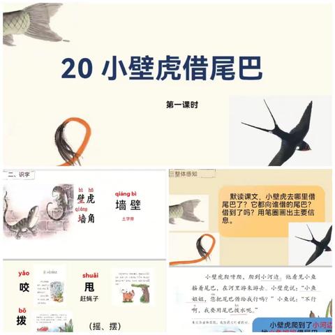 【小语首席专栏】骨干成员微型课例——叶英歌《小壁虎借尾巴》教学计划