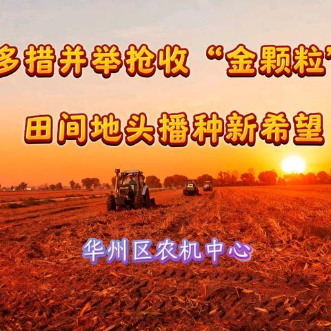 多措并举抢收“金颗粒” 田间地头播种新希望—华州区农机中心“三秋”工作纪实
