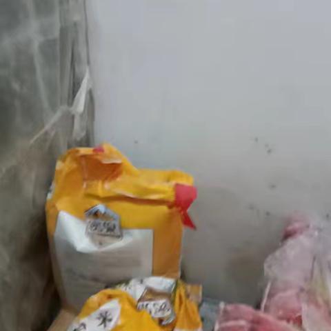 环河北路已整改