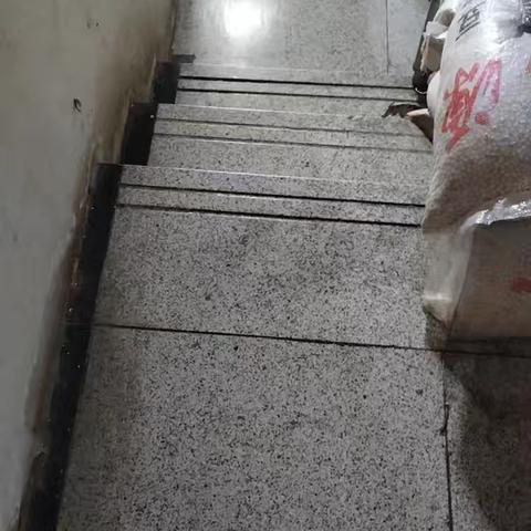 环河北路已整改