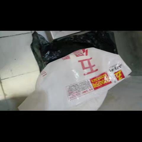 环河北路已整改