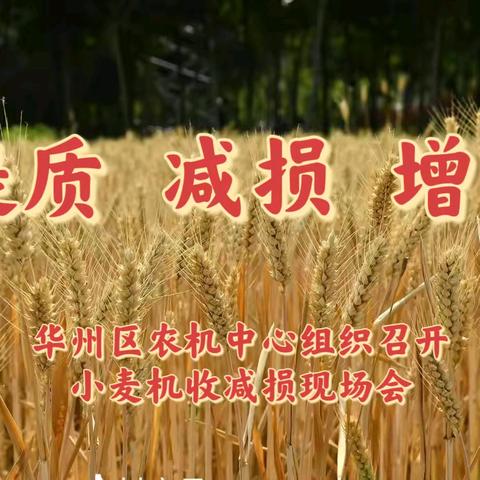 提质 减损 增收—华州区农机中心组织召开小麦机收减损现场会