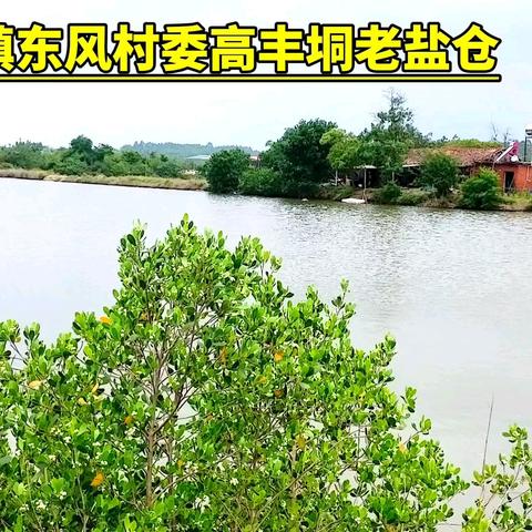 高丰垌盐场