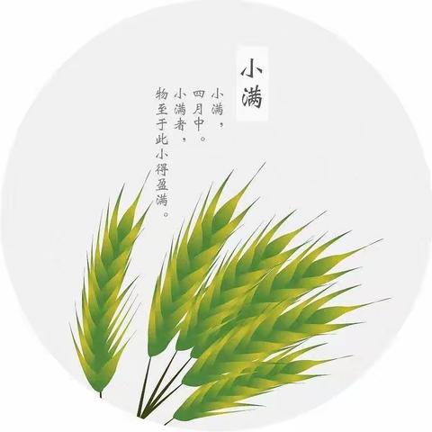 支部创建提质量，节气文化展风采——许昌市健康路小学“二十四节气之小满”主题实践活动