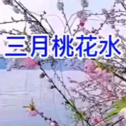 书韵飘香悦读人生