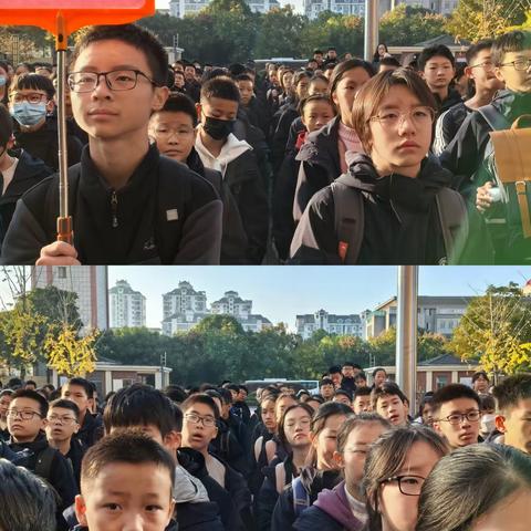 十里稻谷香，田间秋收忙——金外708班劳动实践活动