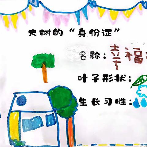 锦地幼儿园植物乐园之幸福树