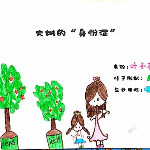 锦地幼儿园植物乐园之叶子花、虎皮兰