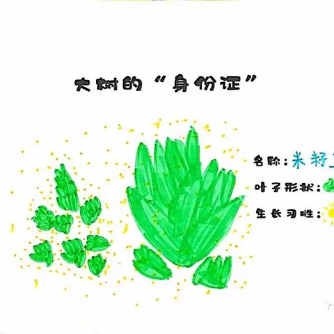 锦地幼儿园植物乐园之米籽兰