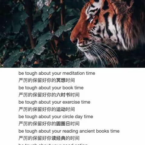 捍卫自己的权力