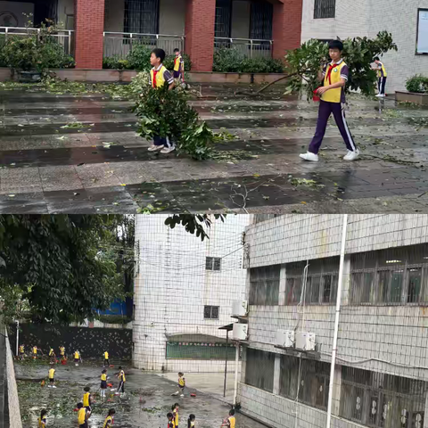 台风过后焕新颜，劳动教育践初心