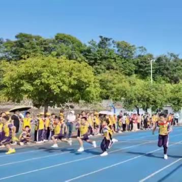 青春飞扬，共赴运动盛宴——白蕉镇中心小学2025年体育节暨第二十届学生田径运动会