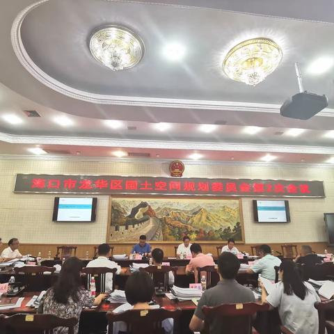 龙华区召开区国土空间规划委员会第2次会议