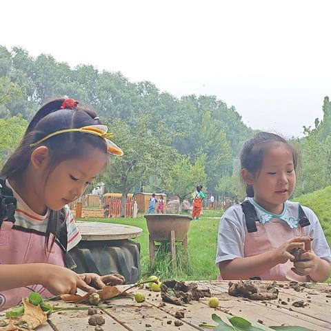 包粽子——小戈