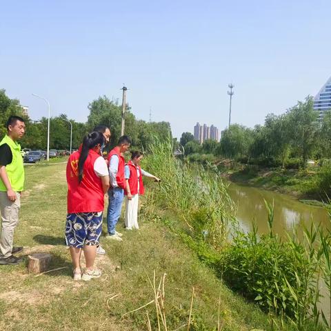 大庆路街道都市花园社区：河道“零死角”巡查  筑牢防溺水安全网