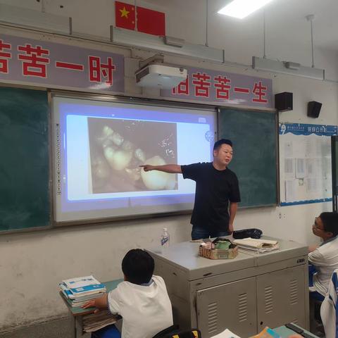 李冰中学2024届10班家长进课堂——科学保护牙齿