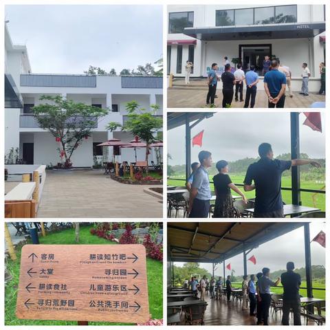 临高县调楼镇人大代表学习交流活动