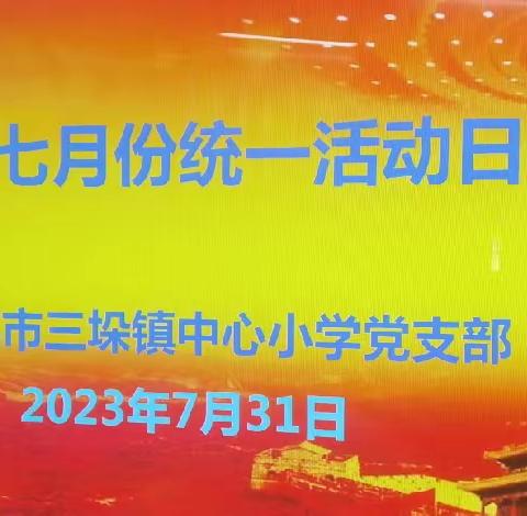 三垛小学党支部开展7月份党员统一活动日活动