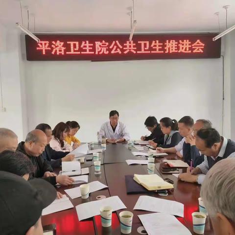 平洛镇中心卫生院基本公卫工作推进会