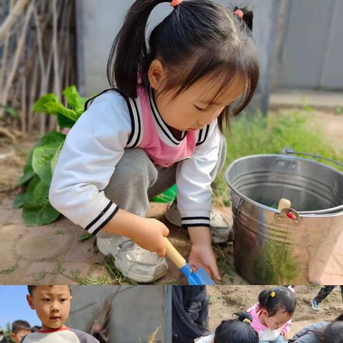 享劳动之乐 扬劳动之美—梅家埠街道中心幼儿园五一劳动节主题活动