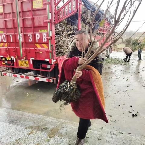 大美花园打造生态采摘园，助力乡村振兴！