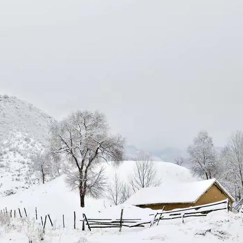 远在他乡的乡亲们，今天家乡下雪了，欢迎大家回家过年！