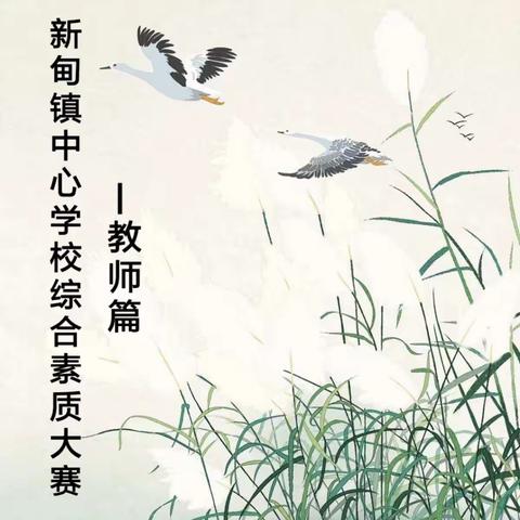 新甸镇中心学校综合素质大赛教师篇
