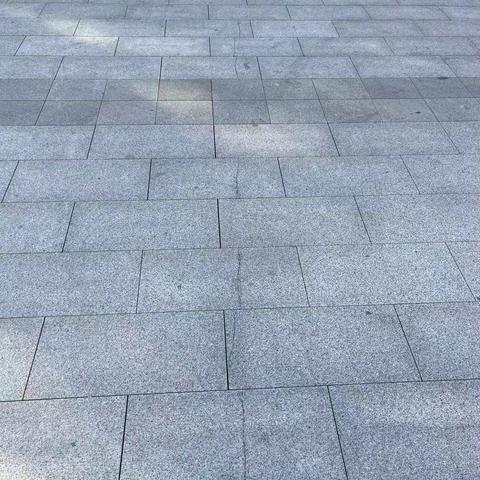 10月31日值班巡场记录