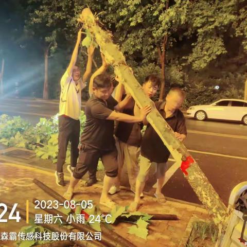 社旗城管：值守、盯守，城管系统全力应对短时大风和降雨