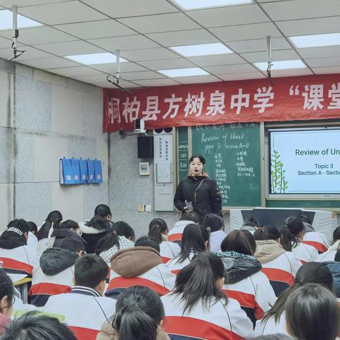 我们的营养午餐 ——城头镇中心小学六年级数学校本化活动